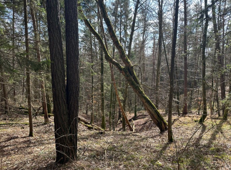 Storzinger Schlössle, Germany
